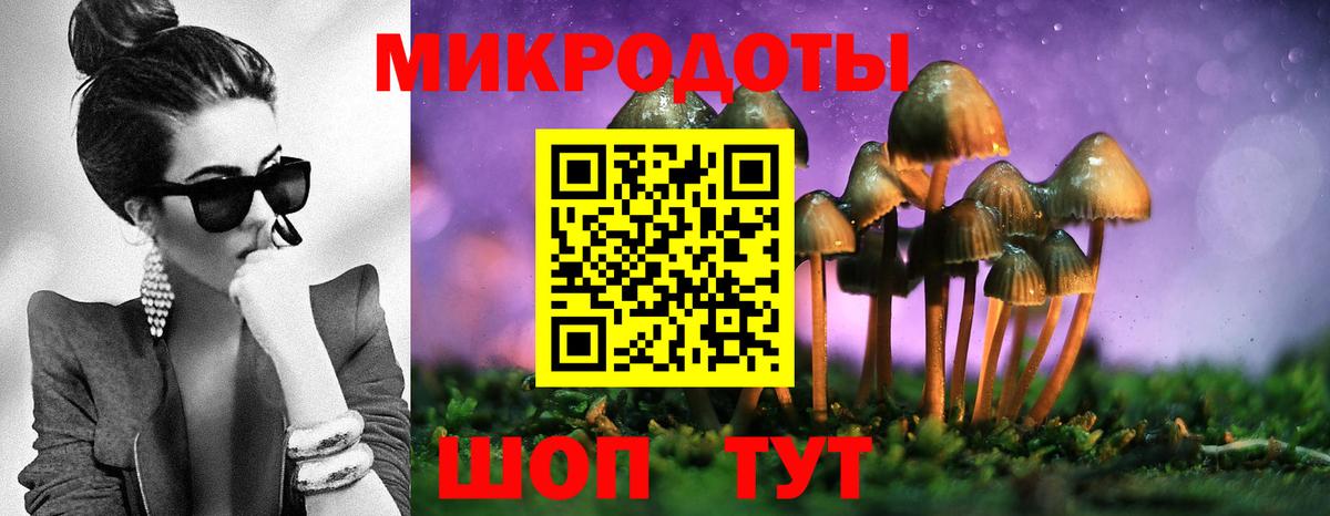 Галлюциногенные грибы GOLDEN TEACHER  Вход с VPN  Камень-на-Оби 